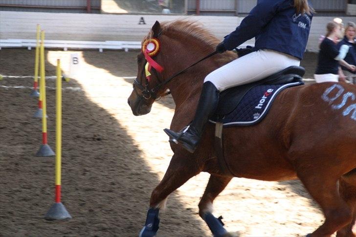 Breton Lukas - Ponygames stævne hvor vi vandt så vi skal med til DM. billede 15