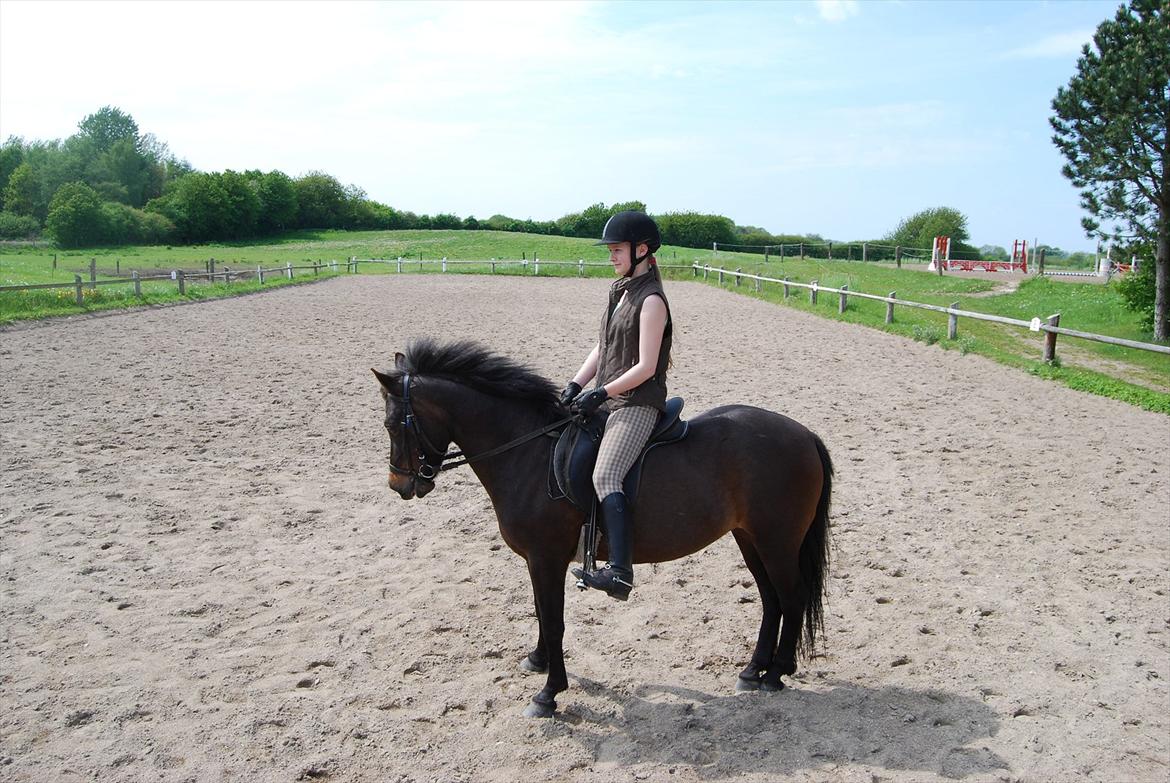 DSP Gitte Mc Queen billede 5