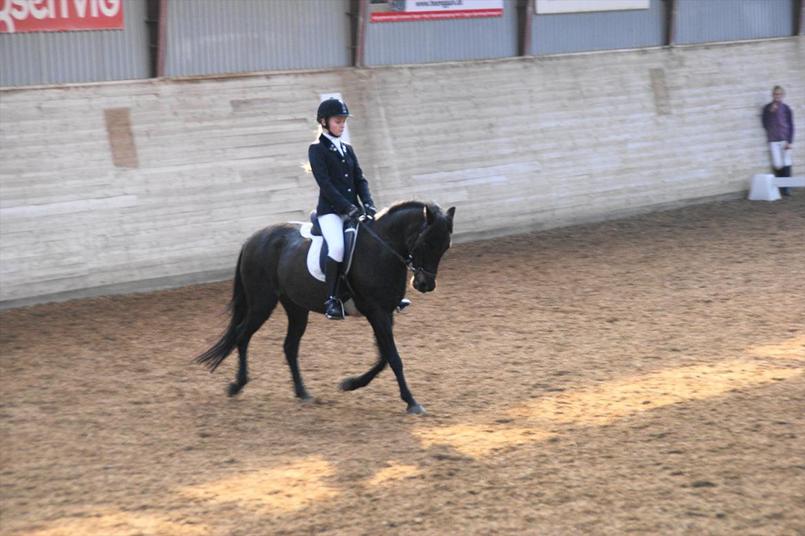 DSP Gitte Mc Queen billede 10