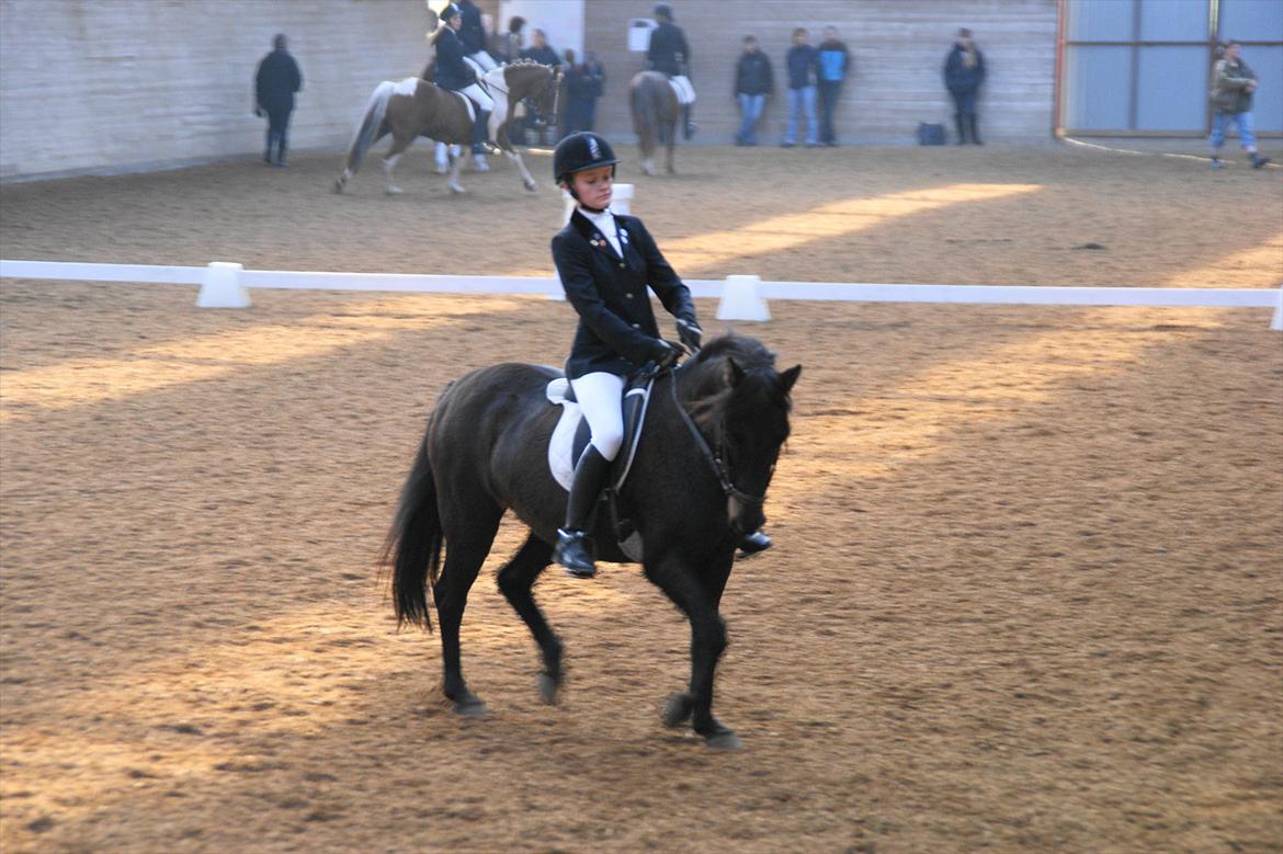 DSP Gitte Mc Queen billede 11
