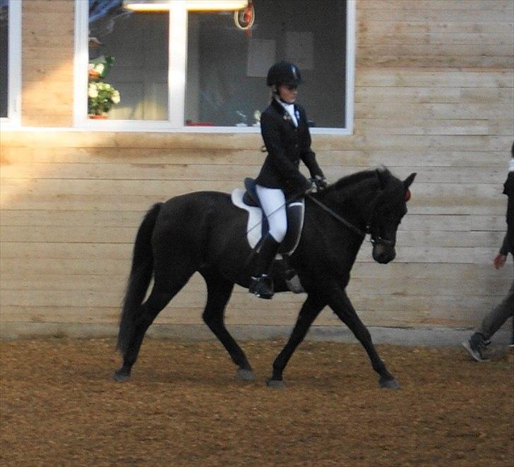DSP Gitte Mc Queen billede 12