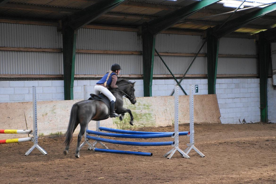DSP Gitte Mc Queen billede 13
