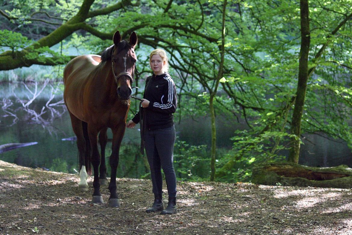 Anden særlig race Stald Birkelys Issebelle - Photoshoot ved søen - lækre hest! ♥ 03.06.12
Foto: Mia Jessen billede 13