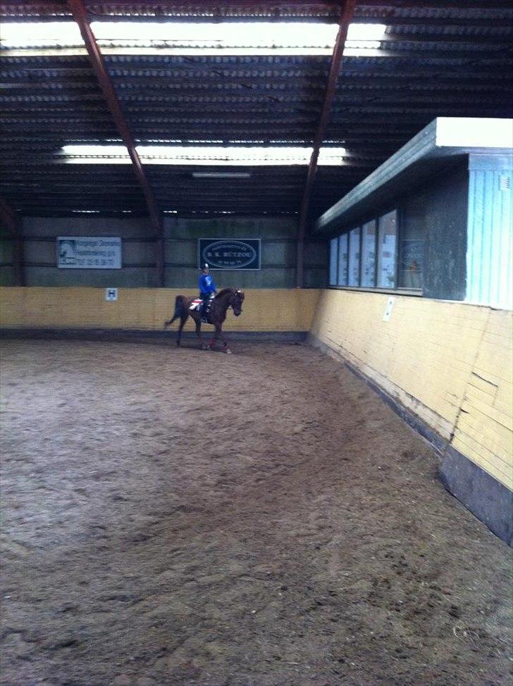 Anden særlig race kalula billede 5