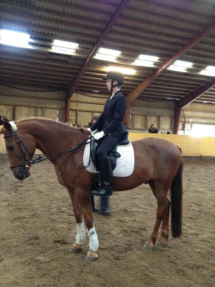 Anden særlig race kalula billede 9