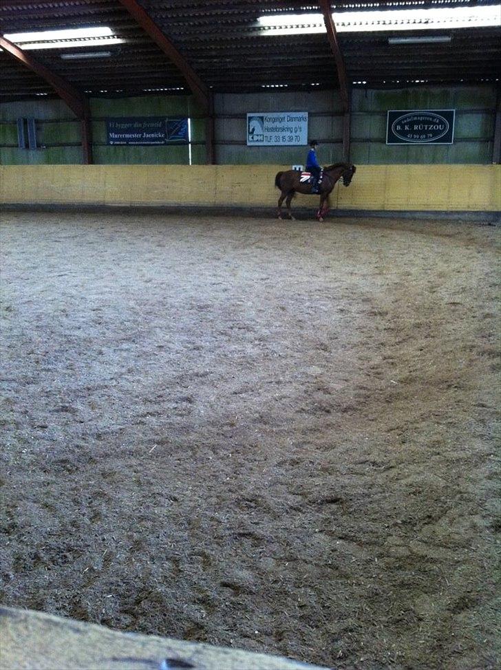 Anden særlig race kalula billede 10