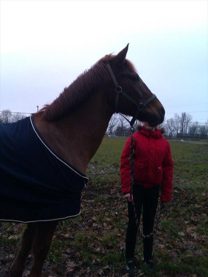 Anden særlig race kalula billede 12