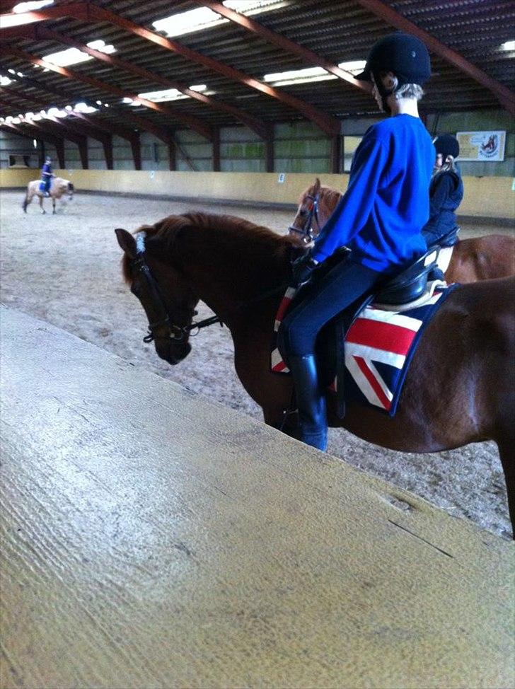 Anden særlig race kalula billede 14