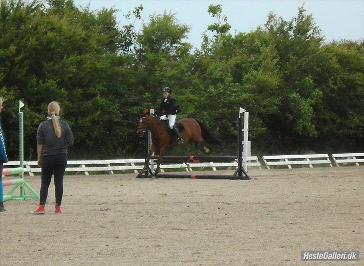 DSP Sultan fra Højbo<3 billede 18