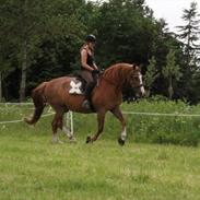 Frederiksborg Niklas Åvang