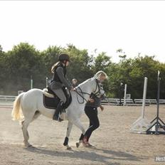 Anden særlig race silva