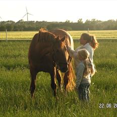 Frederiksborg Enghavens Rex