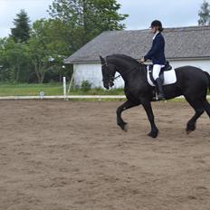 Frieser Zaino af Granly