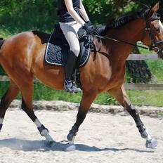 Fuldblod (XX) Rock The Socks