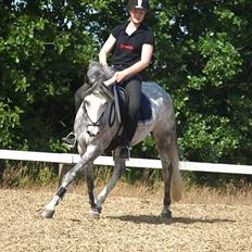 Anden særlig race Kenya