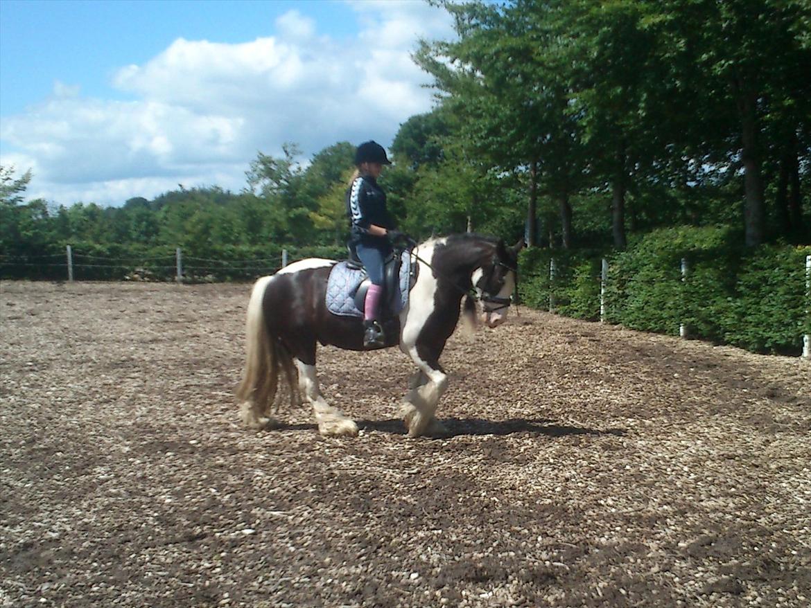 Tinker Shakila´s Shadow billede 4