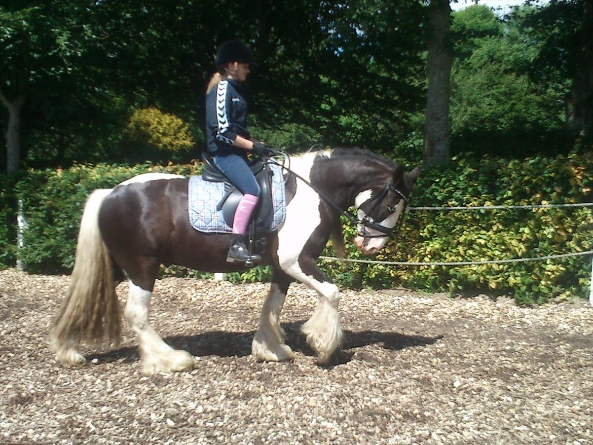 Tinker Shakila´s Shadow billede 8