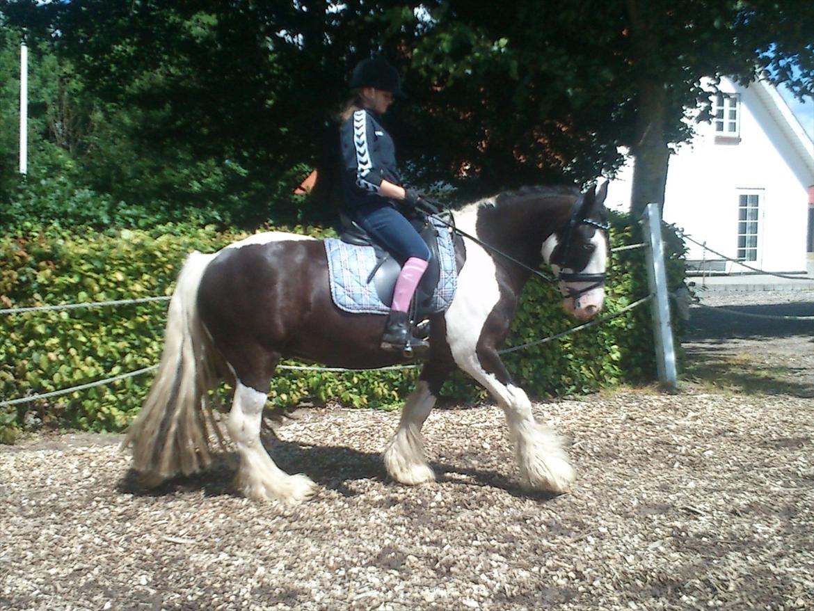 Tinker Shakila´s Shadow billede 6