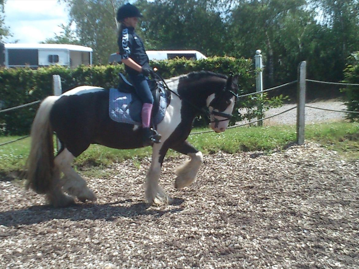 Tinker Shakila´s Shadow billede 13