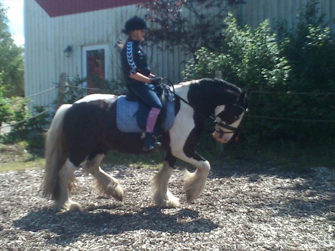 Tinker Shakila´s Shadow billede 11