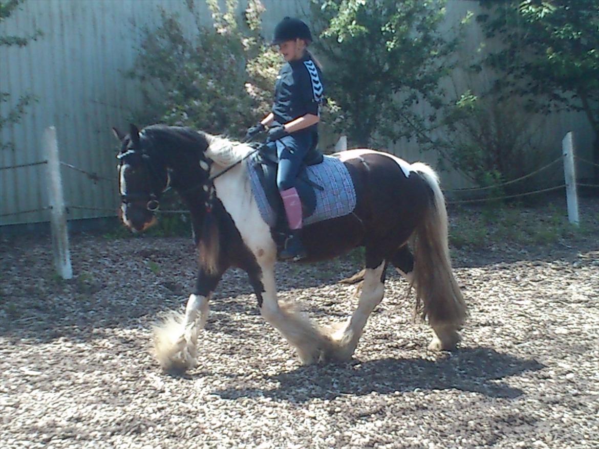 Tinker Shakila´s Shadow billede 9