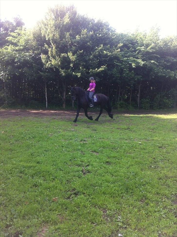 Frieser Tsjitse F Hyllested Østergaard billede 16