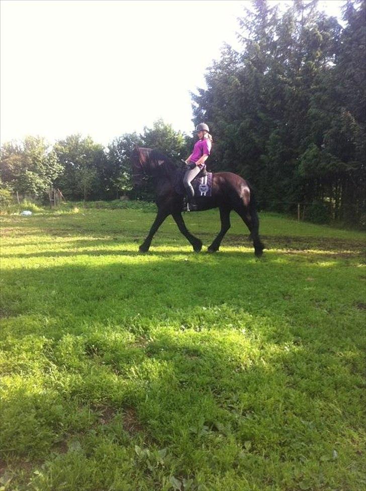 Frieser Tsjitse F Hyllested Østergaard billede 19