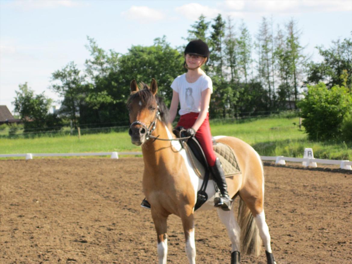 Pinto Holleskovgårds Teckla. - Smukkeste Pigemus<3:-) Jeg elsker dig. billede 15
