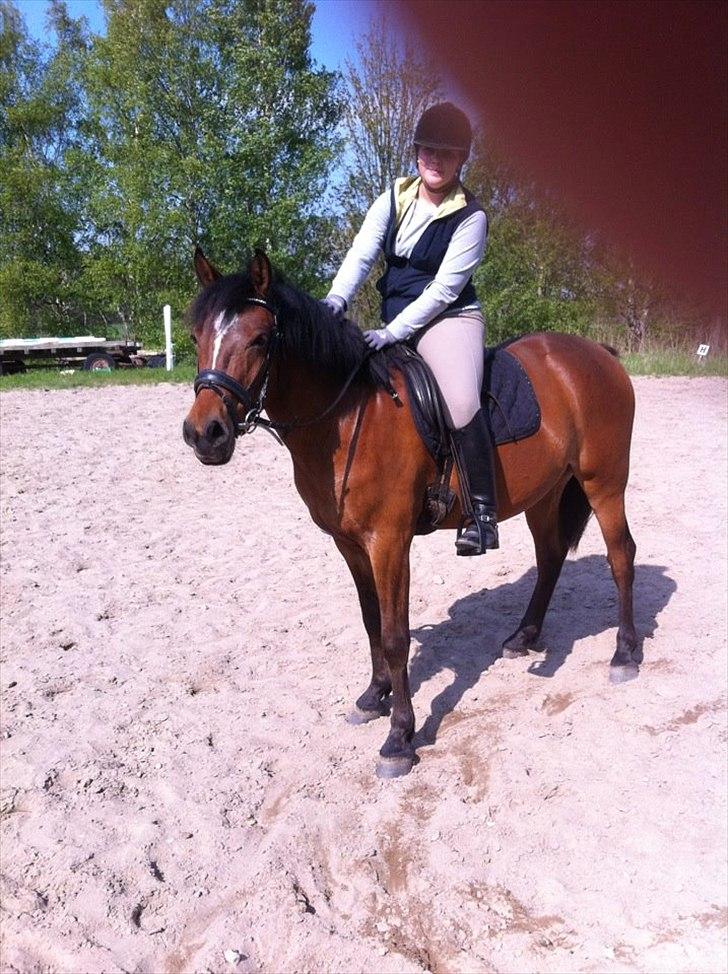 Anden særlig race Augustino - Manse sommeren 2012  billede 16