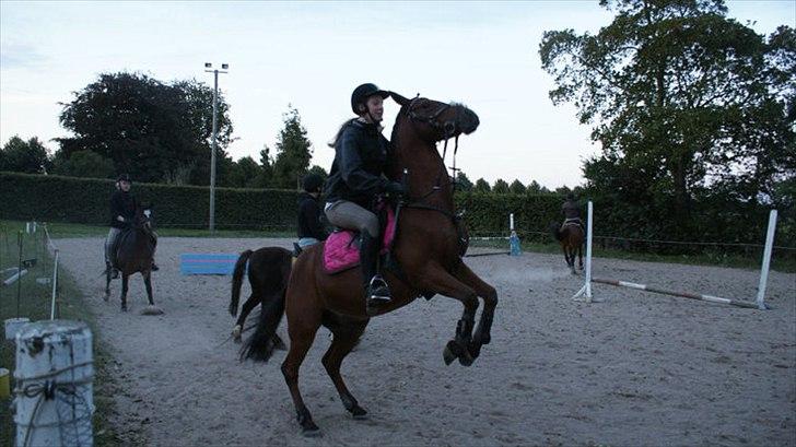 Anden særlig race Timon(solgt) (': - Dejlige pony <3 billede 20