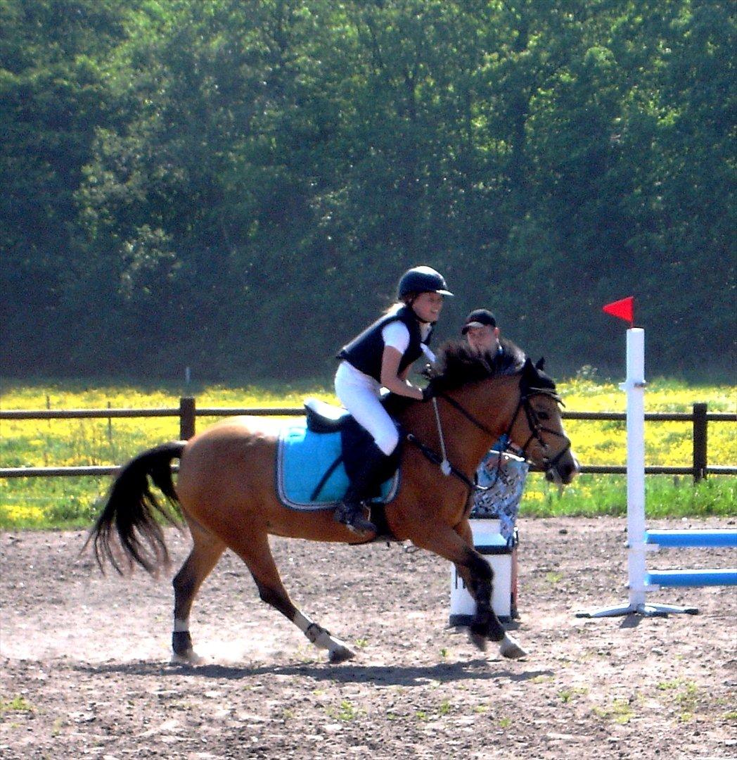 Anden særlig race Egeskovens Bailey - RSR cup, 3. plads i LC;-)) billede 20