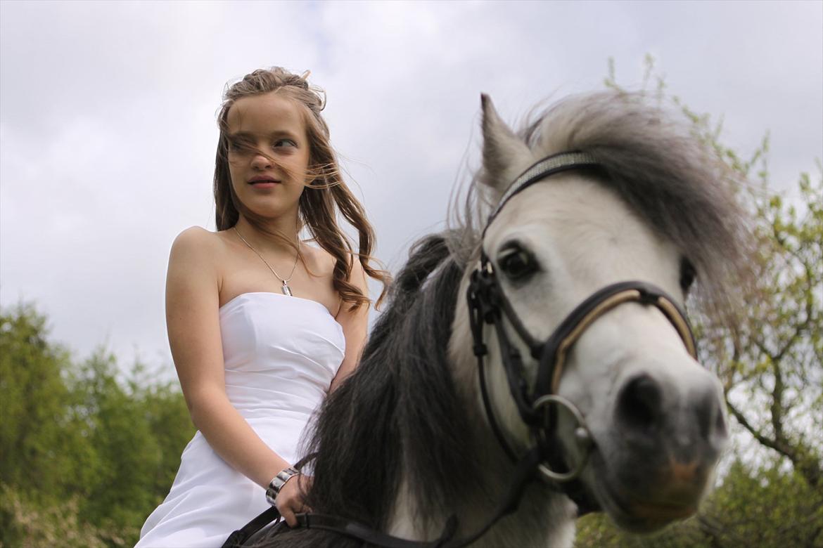 Welsh Pony (sec B) Lukas - Min dejlige konfimation. En dag jeg aldrig glemmer :,) 
Og jeg husker den dag med min kærlighed <3 -Du vil altid være min yngling, for evigt <3 billede 17