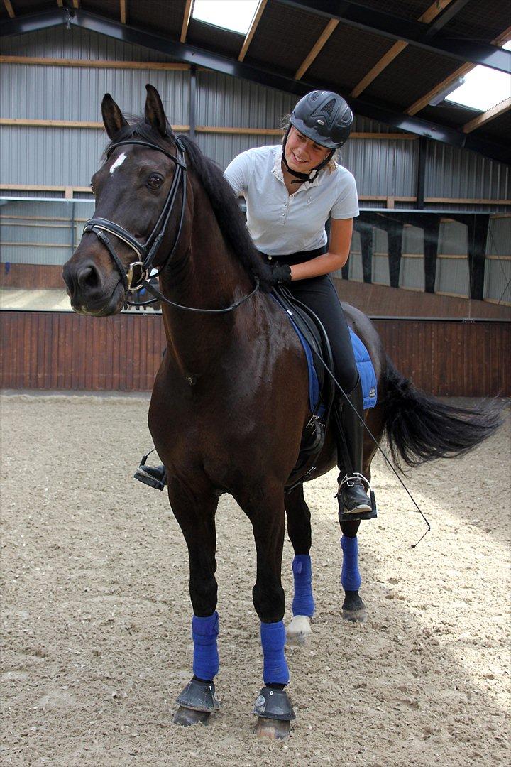 Dansk Varmblod Lindehøjs Leneiux (Kompis) - Du er en skat! <3 
Træning 17. juni 2012 Foto: Cecilie Ølvang billede 12