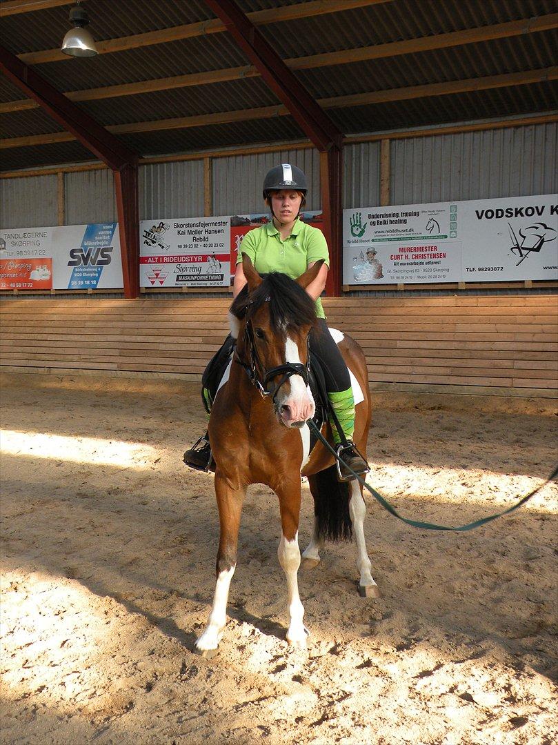 Anden særlig race Felix billede 5