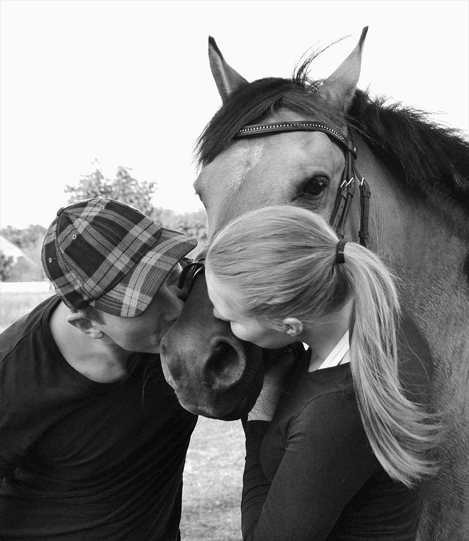 Anden særlig race Maja Lillevang Soulmate - mig og min kæreste giver Majsen et par sidste kys inden hun skal hen til sin nye familie.. :'*...<'3 billede 11