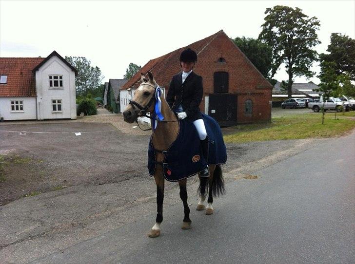 DSP Cézanne - Distriksmesterskab 2012 billede 16