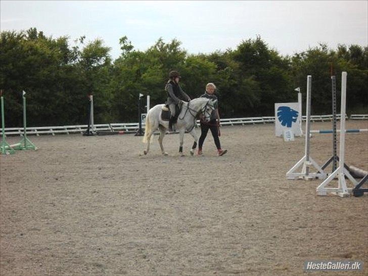 Anden særlig race silva billede 4