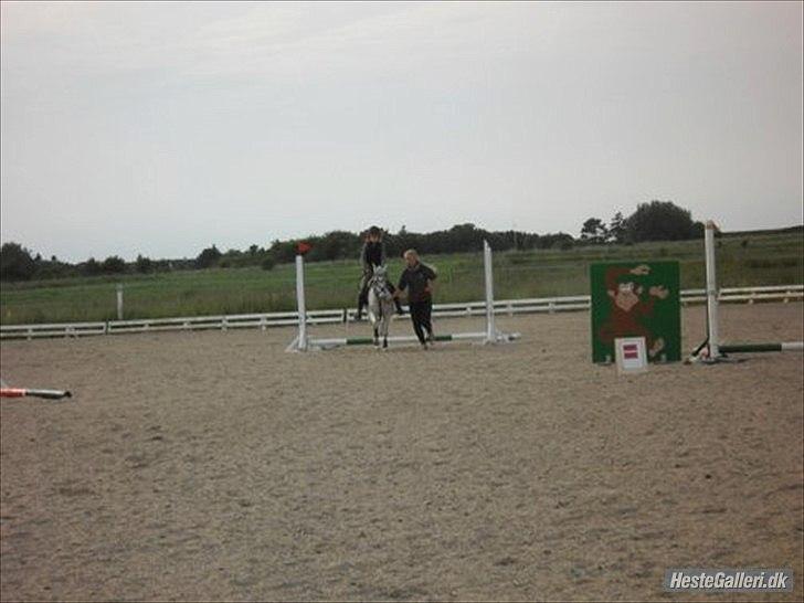 Anden særlig race silva billede 5