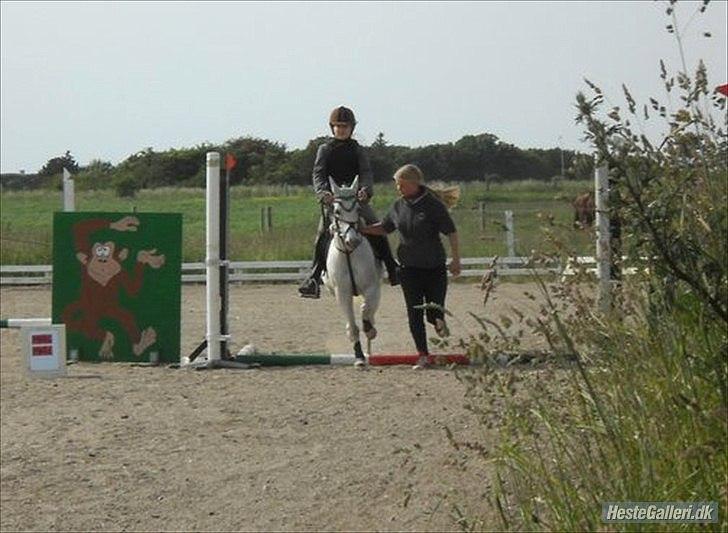 Anden særlig race silva billede 11