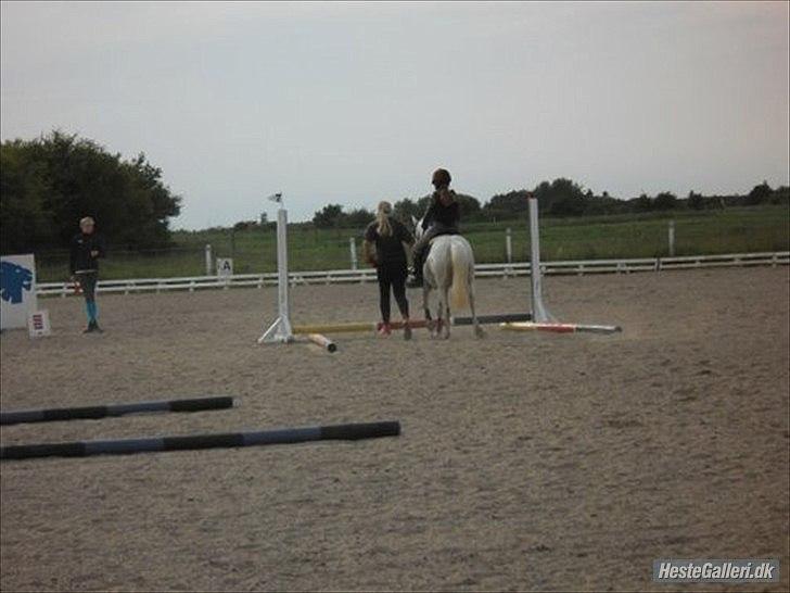 Anden særlig race silva billede 13