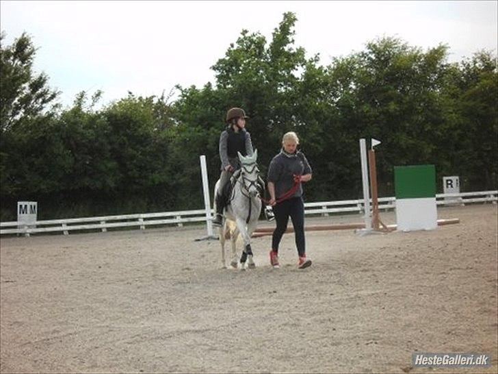 Anden særlig race silva billede 17