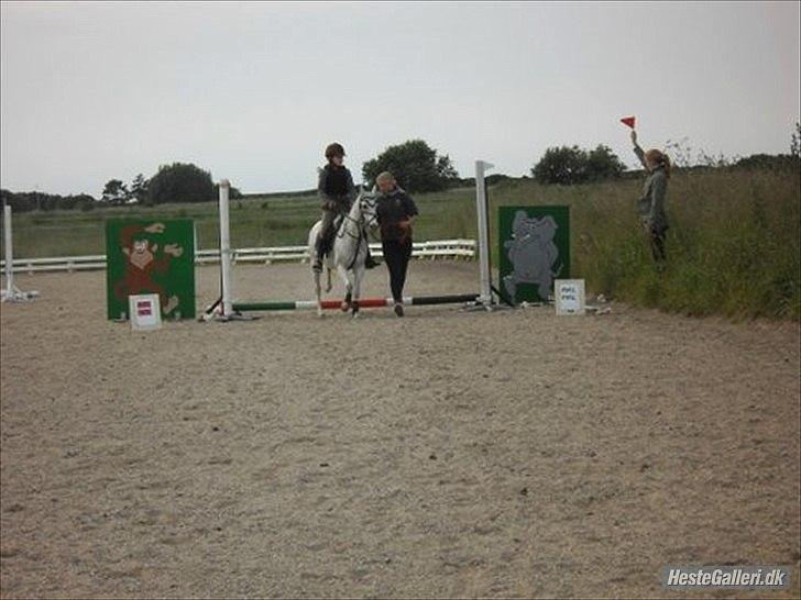 Anden særlig race silva billede 18