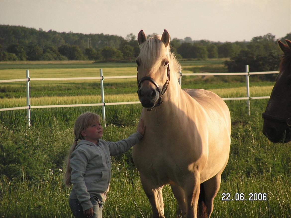 Fjordhest Nelle - Den dag jeg fik hende :) billede 20
