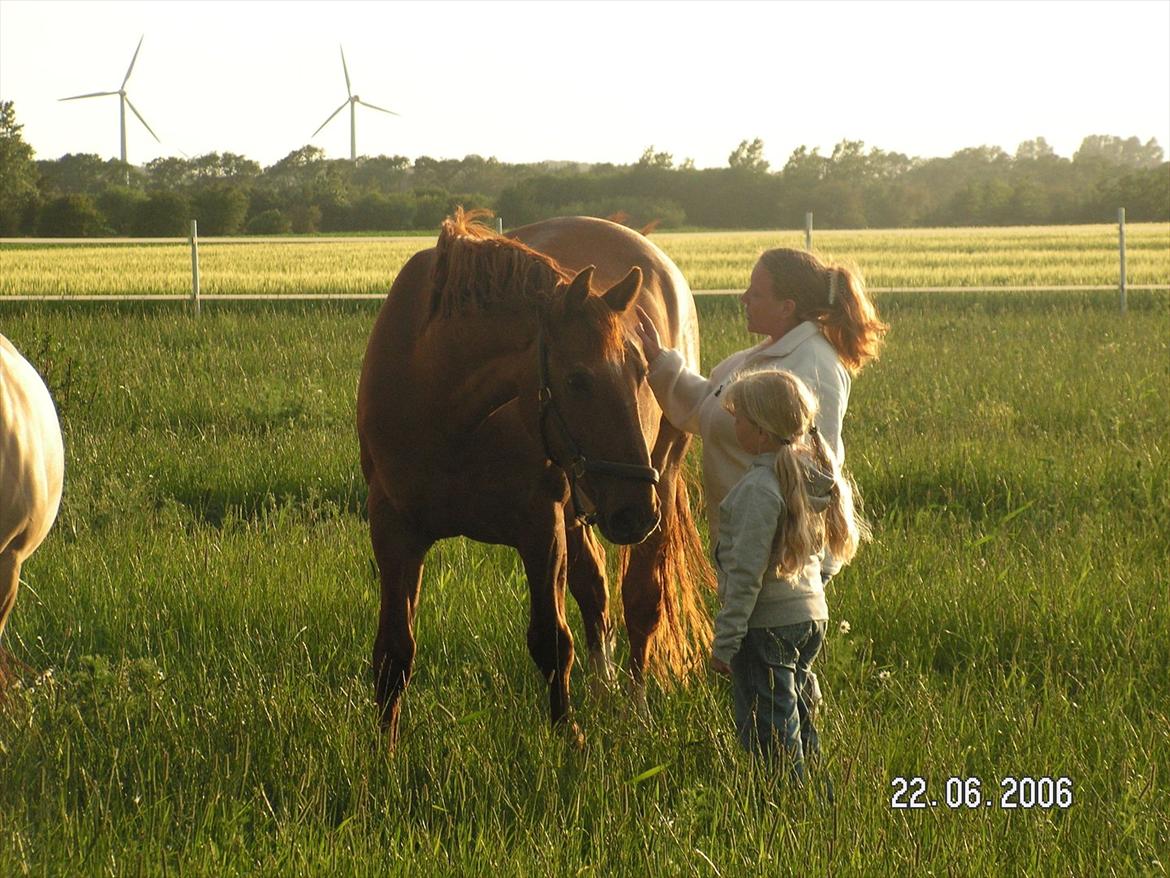 Frederiksborg Enghavens Rex - Den dag han kom :) billede 1