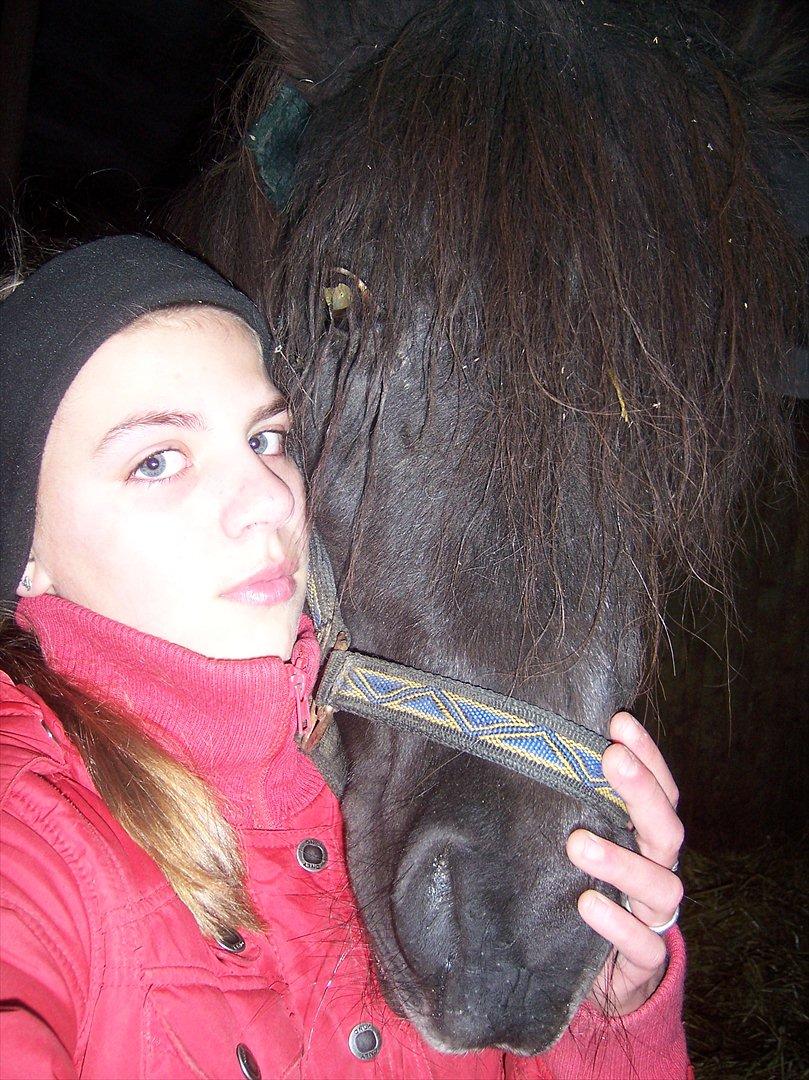 Anden særlig race Flicka - Inden hun blev aflivet :-'(<3 billede 12