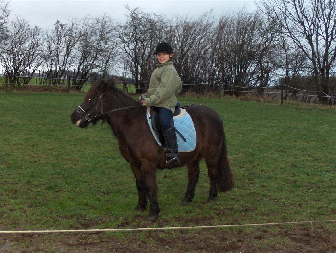 Anden særlig race Flicka - Min første ridetur på hende, da jeg havde fået hende hjem<3 billede 2