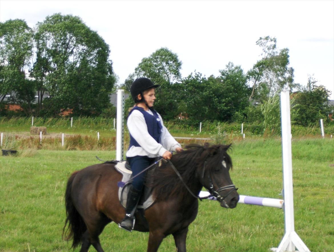 Anden særlig race Flicka billede 5