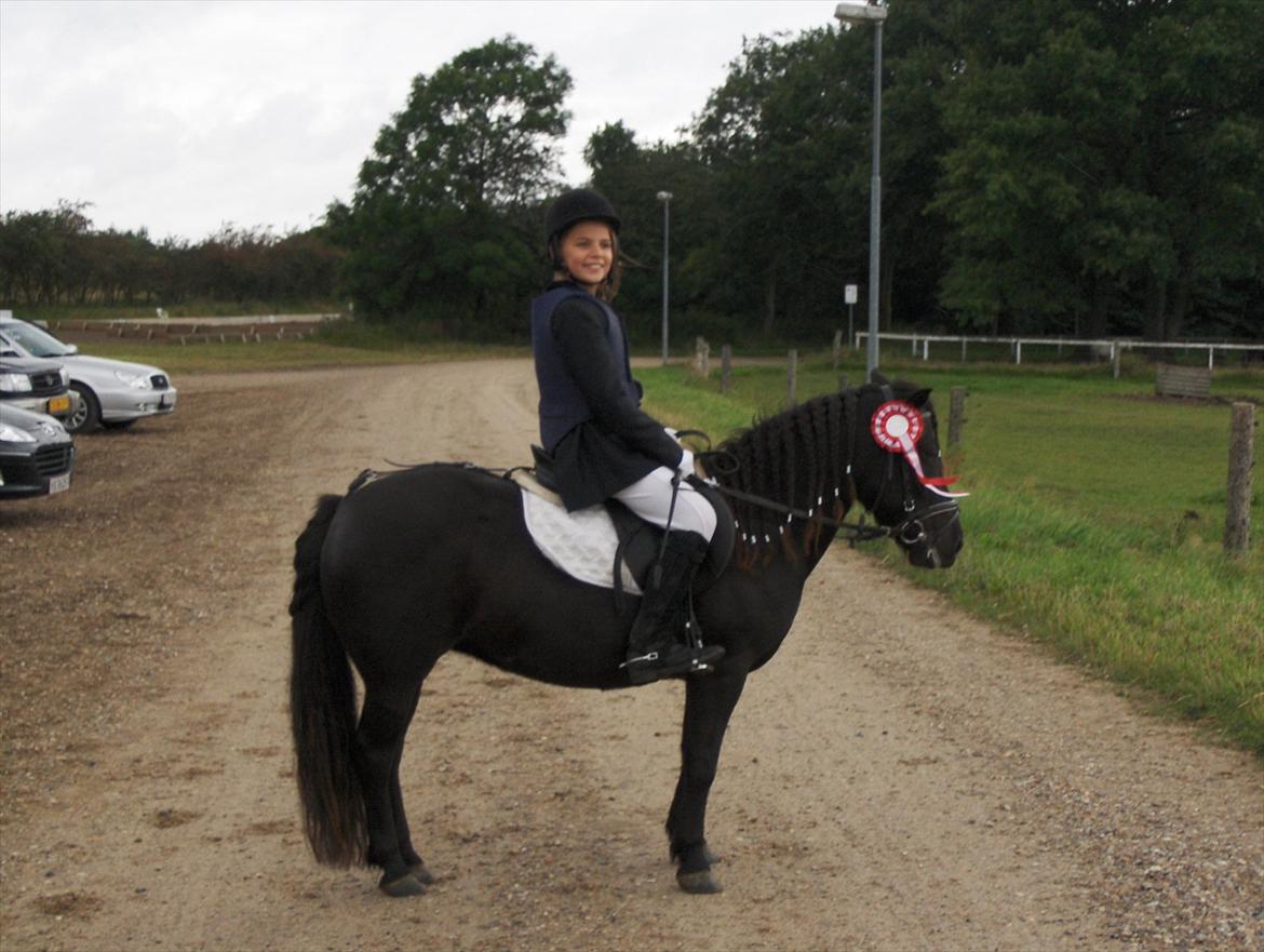 Anden særlig race Flicka billede 6