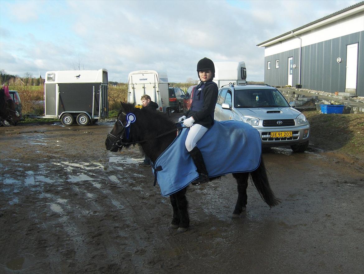 Anden særlig race Flicka billede 7