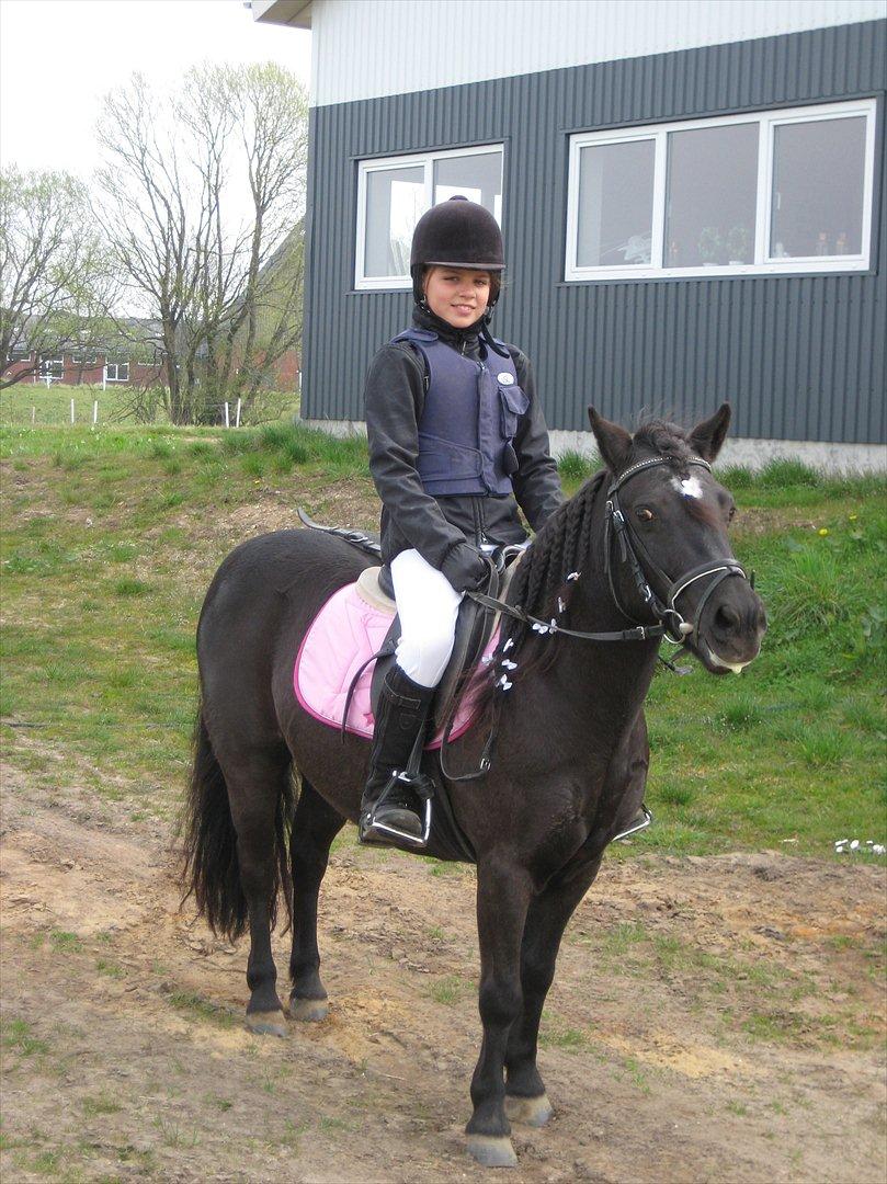 Anden særlig race Flicka billede 3